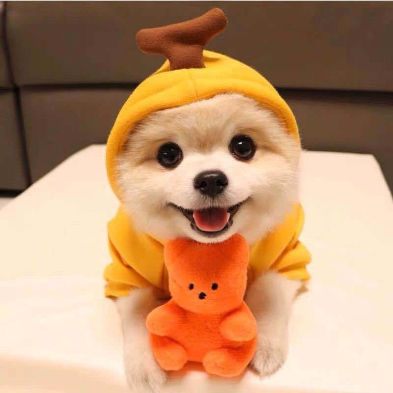Cute Fruit Dog Hoodie – Warm Fleece Outfit for Small Pets