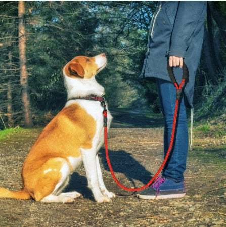 Reflective Nylon Dog Leash – Durable Rope for All Dogs